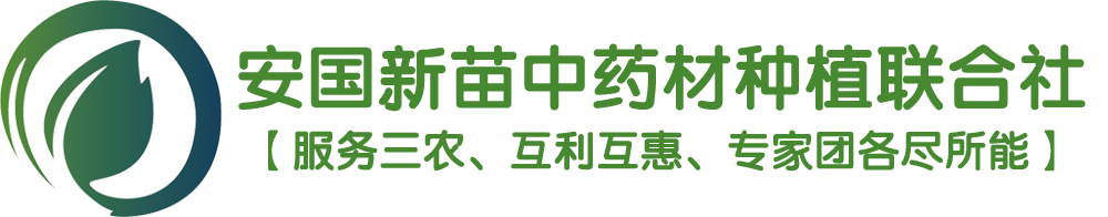 安国新苗中药材种植农民专业合作社