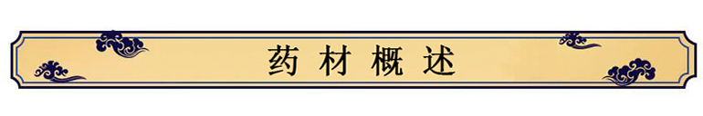 中药材种植技术——小茴香