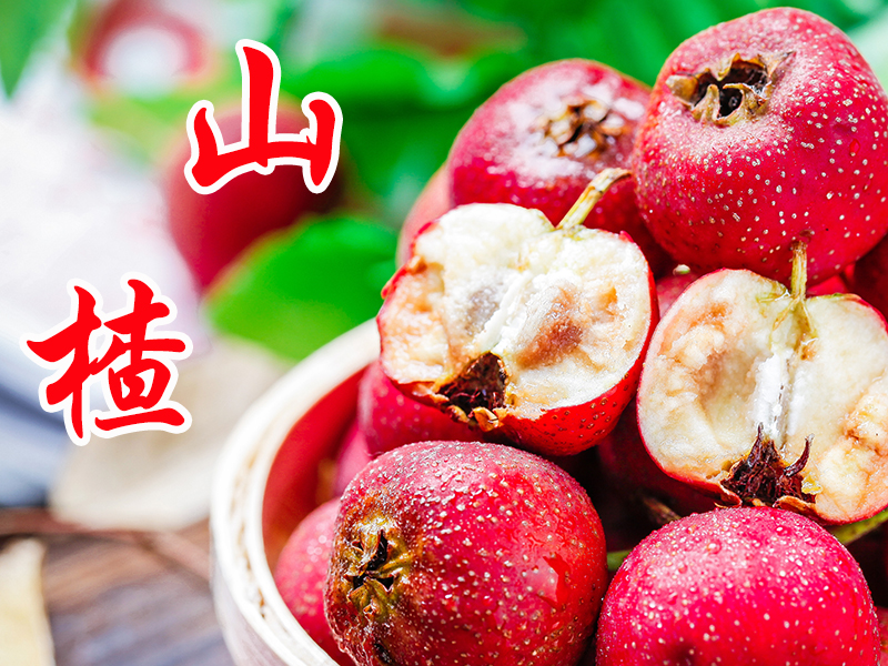 中药材【药食同源】——山楂