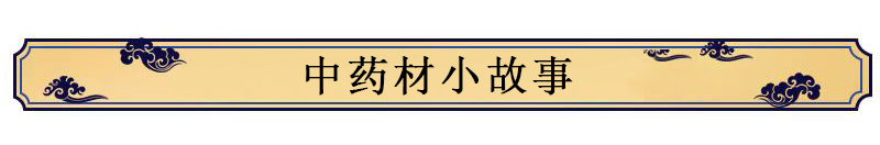 中药材【养生保健】——木香